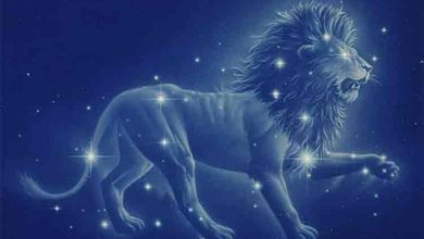 Photo of Horoscop zilnic, 29 octombrie 2020. Este timpul pentru o noua achizitie in zodia Leu