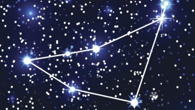 Photo of Horoscop zilnic, 18 februarie 2021. Oboseala Racului va duce la stres