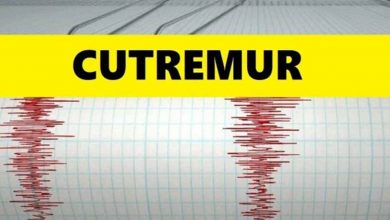 Photo of Cutremur in Romania in aceasta seara. Unde a avut loc si ce magnitudine a avut.